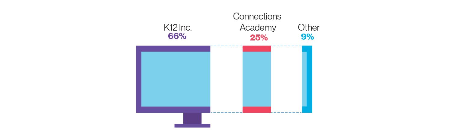 Graphic showing 2017 michigan cyber charter enrollment by EMO: 66% K12 Inc., 25% Connections Academy, 9% Other