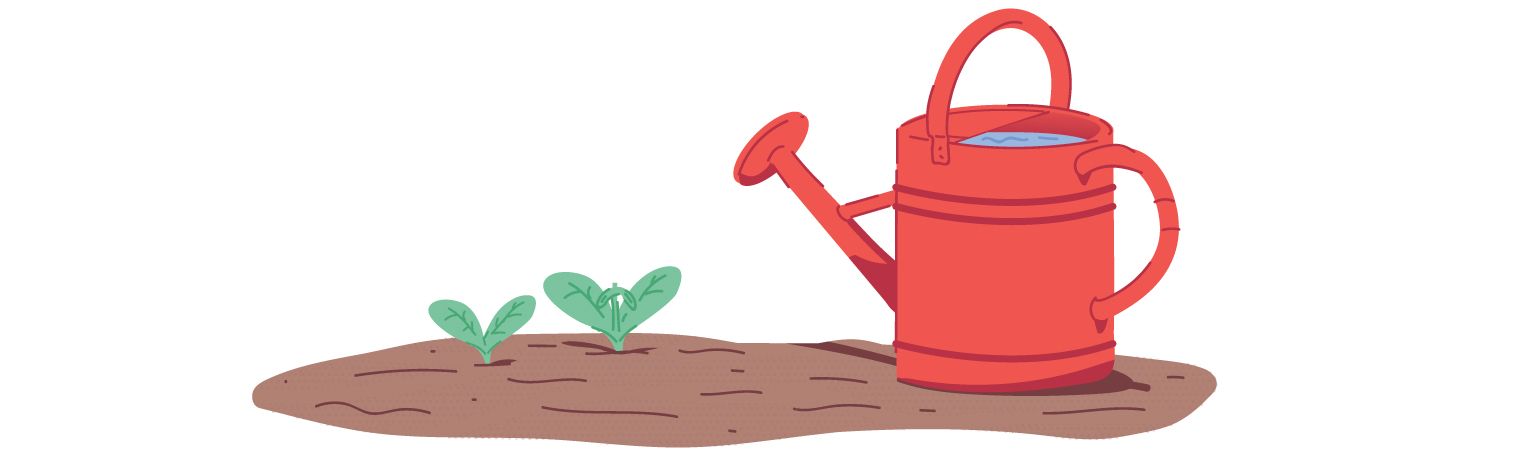 Image: watering can and sprouting plant