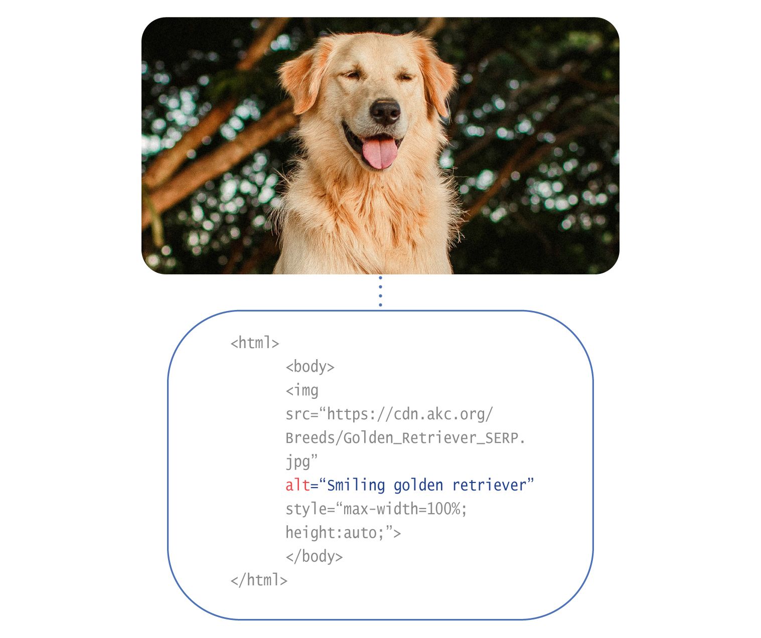 Image: An example of an alt tag in the code of a site. Above is a photo of a happy dog, and below is the code showing the alt tag as 'smiling golden retriever.'