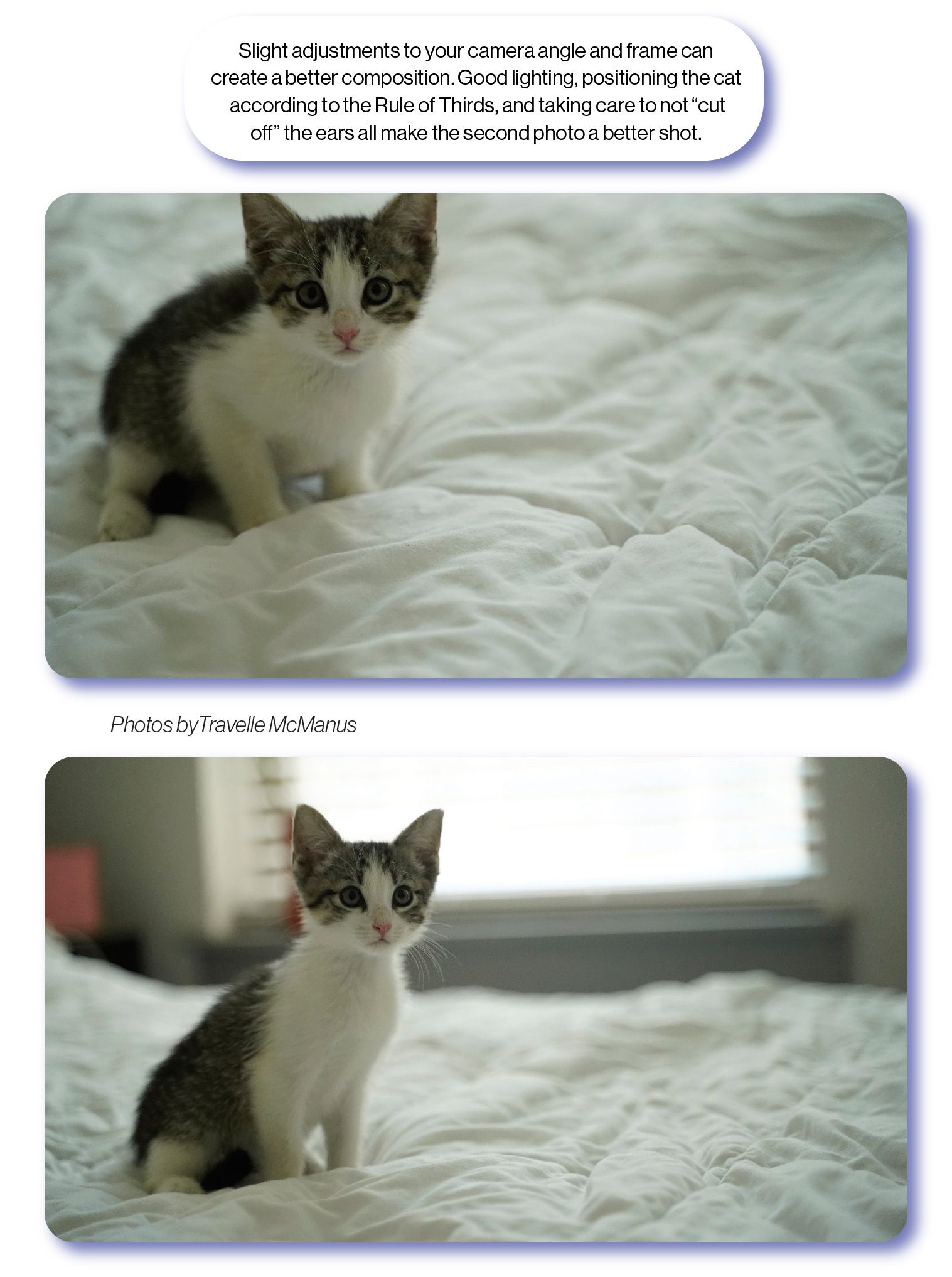 Images: Two similar photos of a kitten, with the SchoolCEO caption 'Slight adjustments to your camera angle and frame can create a better composition. Good lighting, positioning the cat according to the Rule of Thirds, and taking care to not cut off the ears all make the second photo a better shot.'