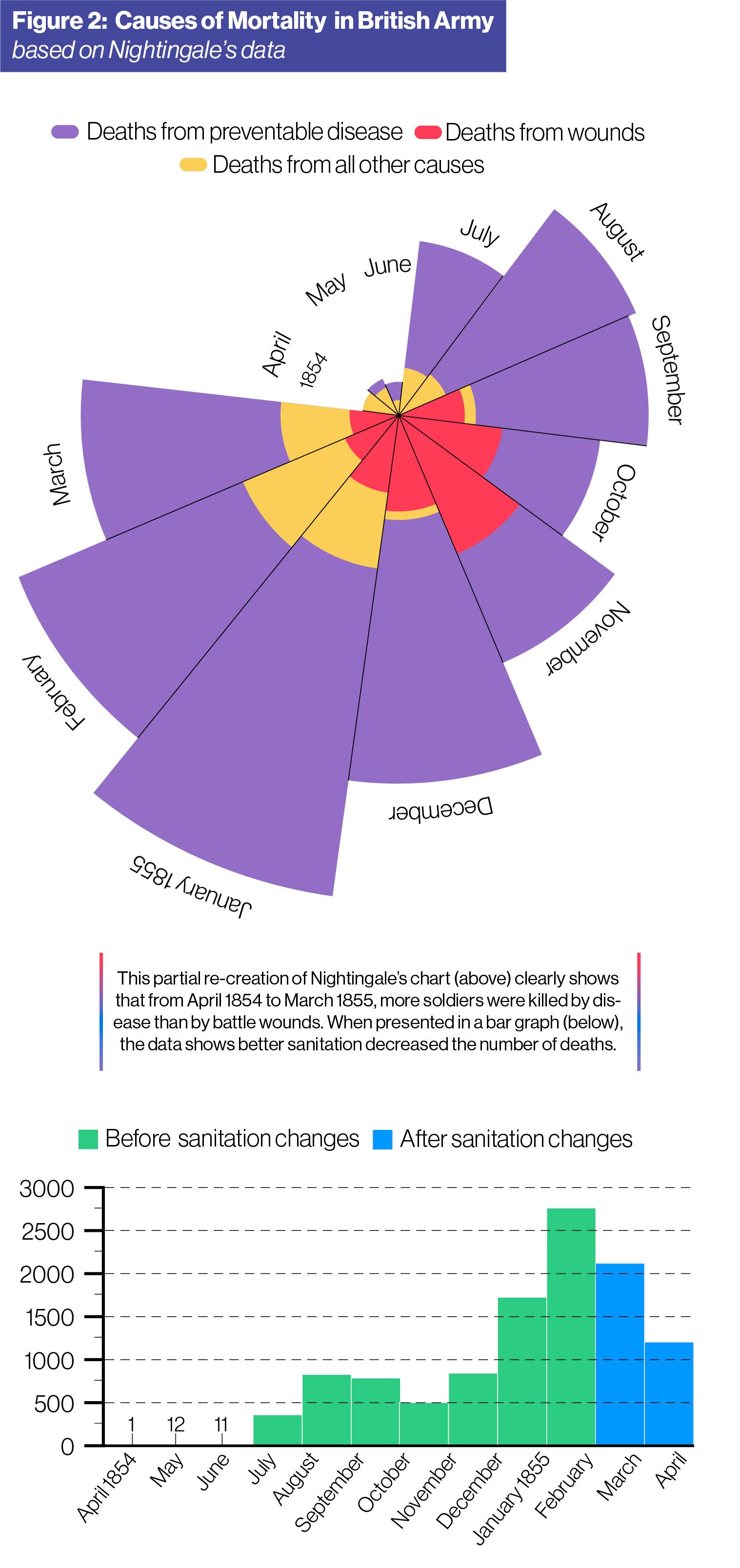 Image: Figure 2: Causes of Mortality in British Army, based on Nightingale's data. This is a recreation of Florence Nightingale's famous rose diagram, showing deaths by month from April 1854 to March 1855. A SchoolCEO caption reads: 'This partial re-creation of Nightingale's chart clearly shows that from April 1854 to March 1855, more soldiers were killed by disease than by battle wounds. When presented in a bar graph, which is shown below, the data shows better sanitation decresed the number of deaths (starting in March 1855).'