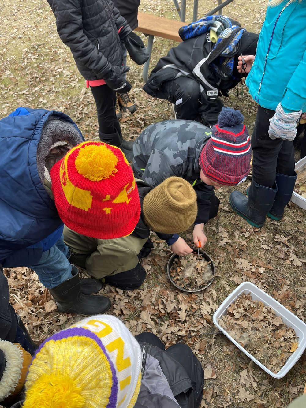 Photograph of students outside in a state park learning to start a fire 