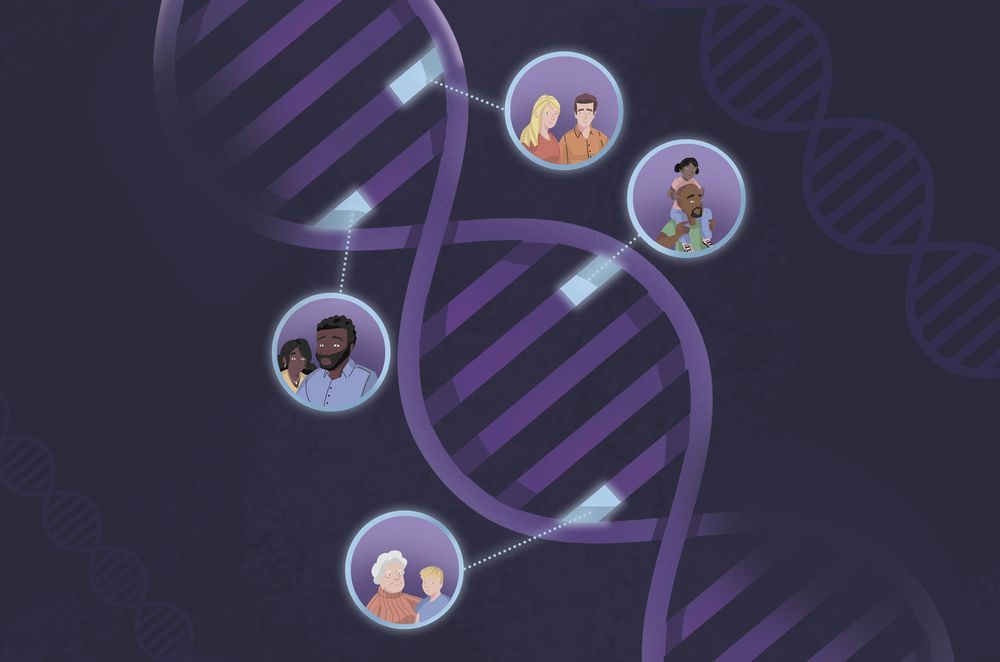 Illustration: DNA double-helix, with families highlighted as making up the strands