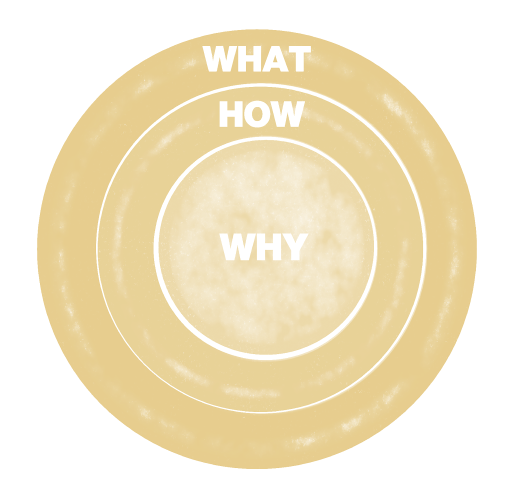 Illustration of 'The Golden Circle"